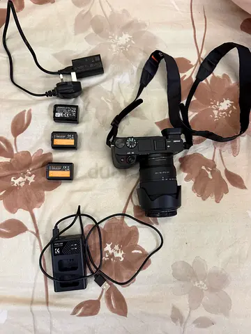 Sony Alpha A6400 with 18-135 millimeter lens.