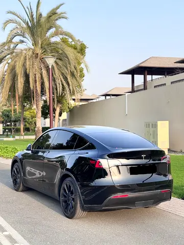 Tesla Model Y Standard, миниатюра 3
