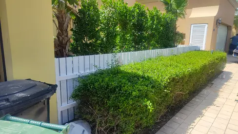 White Decorative Garden Picket Fence Panel (approx. 2m) with Low Hedge