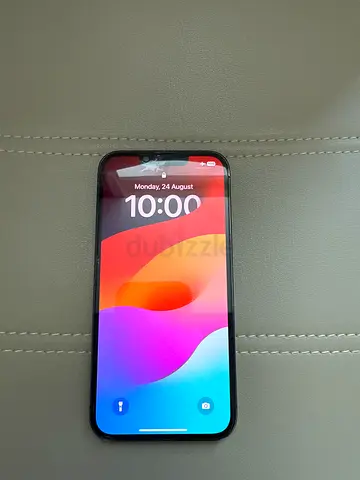 Apple iPhone 13Pro 128GB grey - 1 Owner clean
