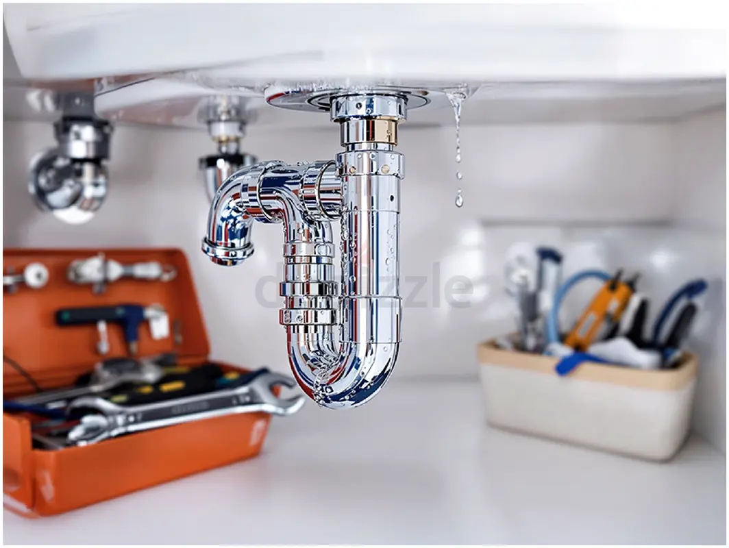 DPV_View_Image_1