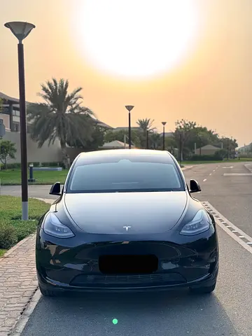 Tesla Model Y Standard, миниатюра 4