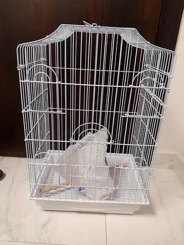 Bird cage for sale