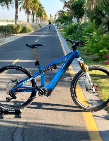 E-MTB CUBE BIKE