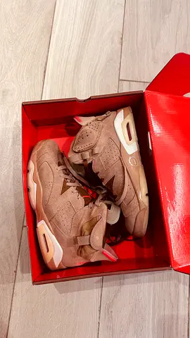 Jordan 6 Travis scott cactus