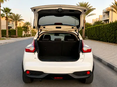 2014 Nissan JUKE 照片 5