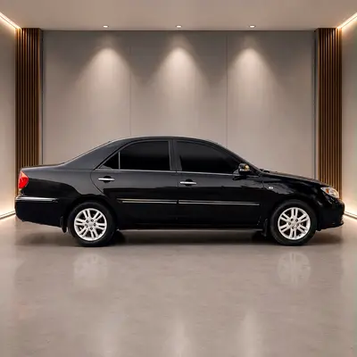 2004 Toyota CAMRY — фото 3
