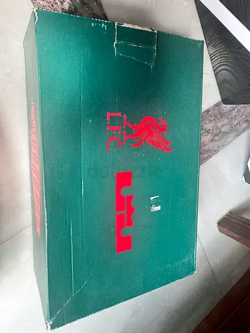 Like brandnew LFC X LeBron James Air Max 1 size UK 6
