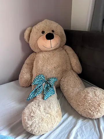 Big teddy bear