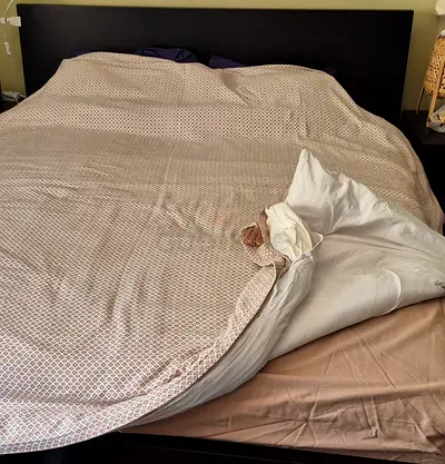 Queen bed with its mattress and headboard - used, good condition