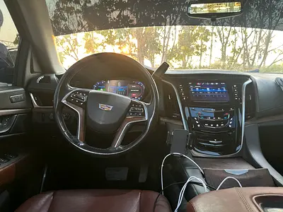 2020 Cadillac ESCALADE 缩略图 14