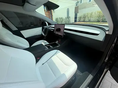 Tesla Model 3 Long Range, миниатюра 6