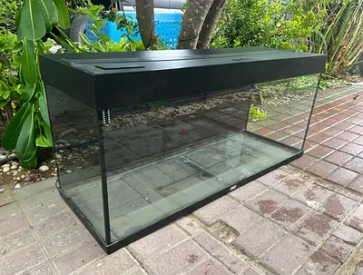 Large Juwel aquarium/terrarium