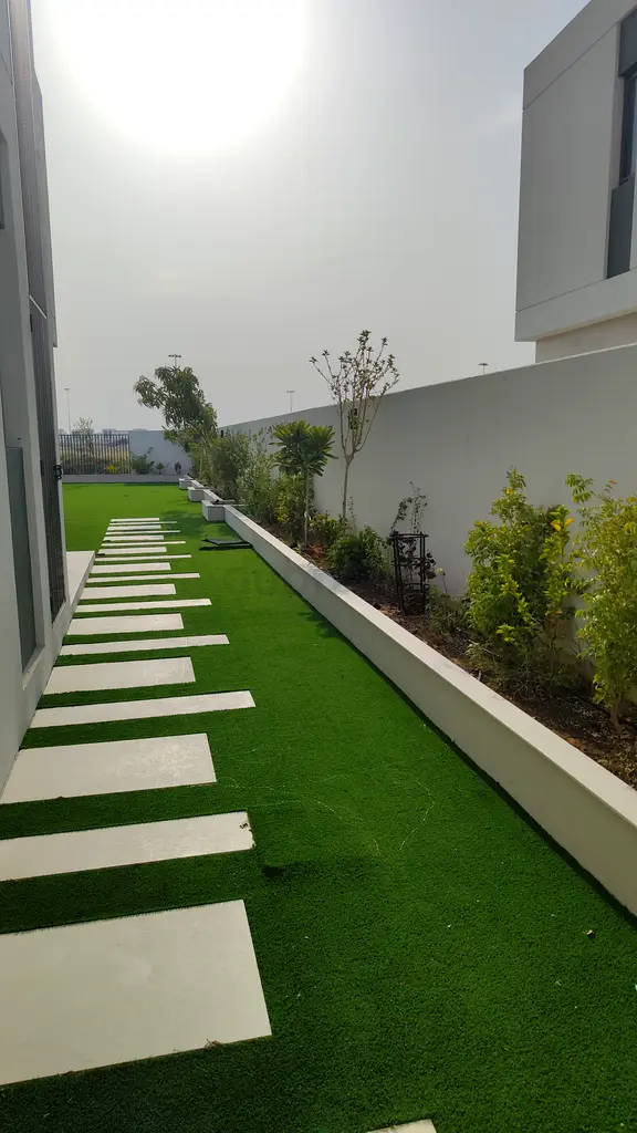 DPV_View_Image_2