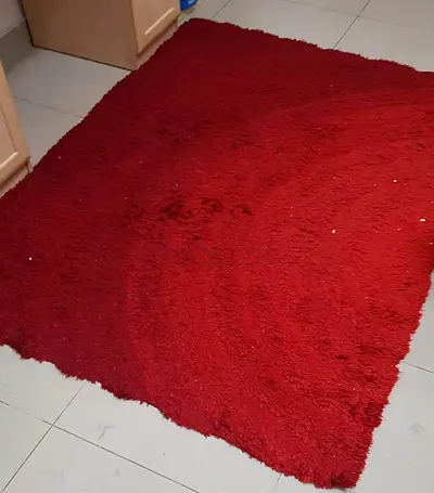 Red shaggy area rug - (used)
