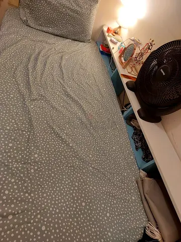 Day bed from homework