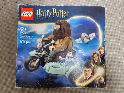 LEGO Harry Potter 76443 – Hagrid & Harry’s Motorcycle Ride | 617 Pieces