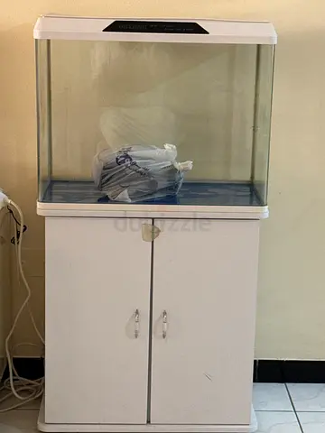 Fish tank