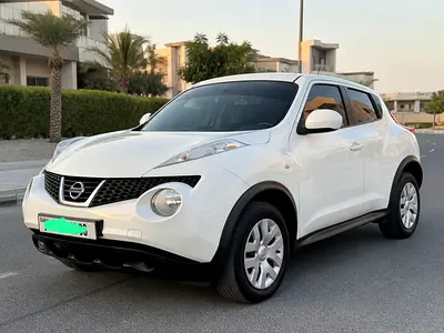 2014 Nissan JUKE 照片 2