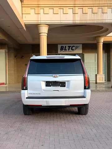 2017 Cadillac ESCALADE 照片 5