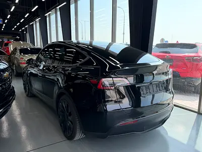 Tesla Model Y Performance, миниатюра 7