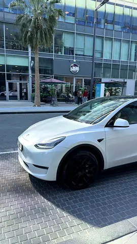 صورة مصغرة 10 لـ 2023 Tesla MODEL Y