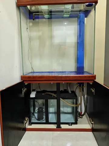 Fish Tank with Sump Filter