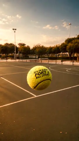 Used Dunlop Fort All Court Tennis Ball - Good Condition