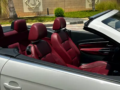 2014 Volkswagen EOS — фото 13