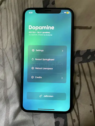 iPhone XS 256GB iOS 16.3.1