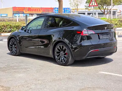 Tesla Model Y Performance, миниатюра 6