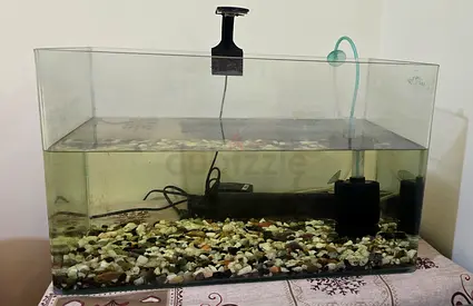 Aquarium