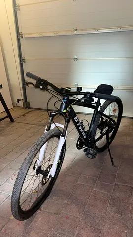 Adult bike
