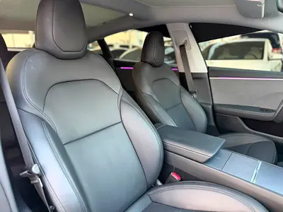 Tesla Model 3 Standard, миниатюра 10
