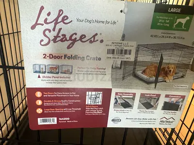 Dog house