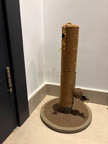 Cat scratch tree