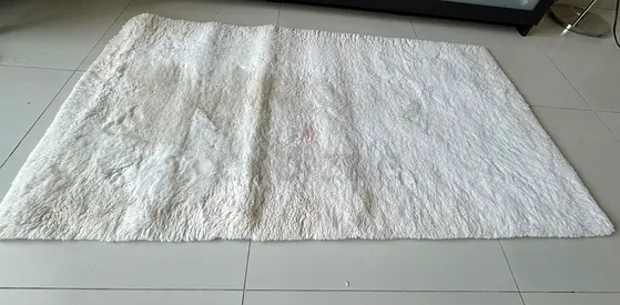Soft White Shaggy Rug