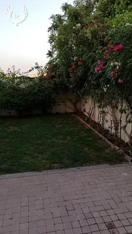 Vacant Now | Type 4M | 2 Beds + Study