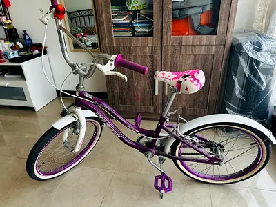 Girl’s bicycle