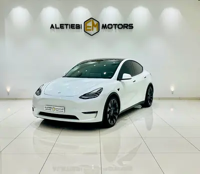 Tesla Model Y Long Range, миниатюра 2