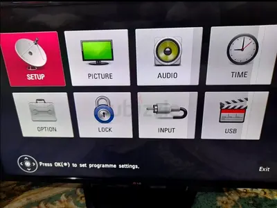 LG Flat Screen TV