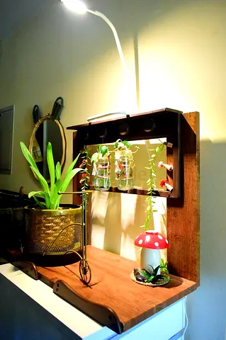 Customized plant display stand