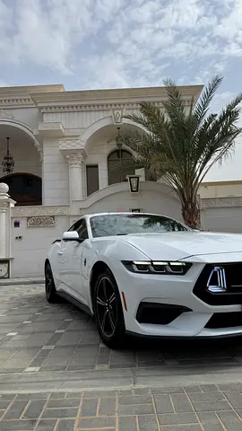 Ford Mustang Ecoboost, миниатюра 2