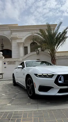 2024 FORD MUSTANG 照片 2