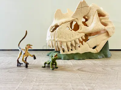 Dinosaur skull includes 2 dinosaurs