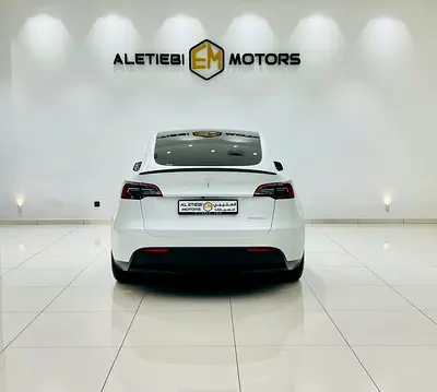 Tesla Model Y Long Range, миниатюра 6