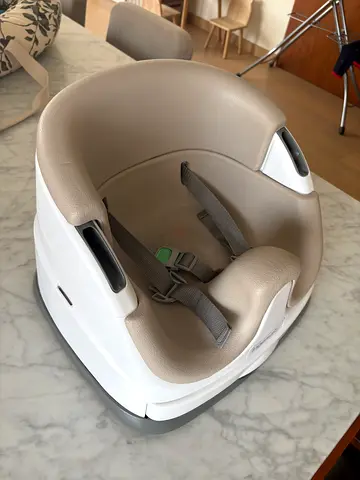 Ingenuity Baby Base Seat