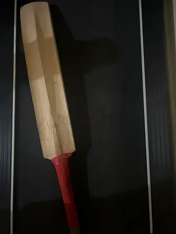 Cricket bat