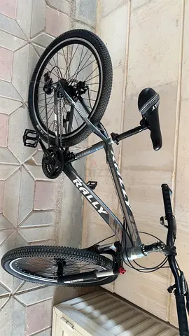Rally Mountain Bike