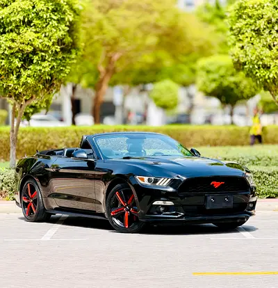 2015 FORD MUSTANG 照片 3